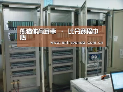熊猫体育案例展示五