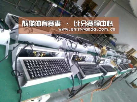 熊猫体育案例展示一