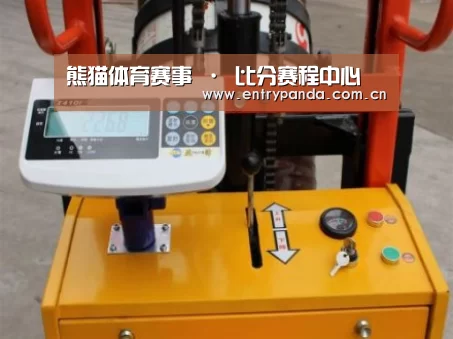 熊猫体育案例展示三
