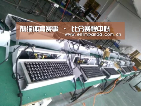 熊猫体育案例展示一(图1)