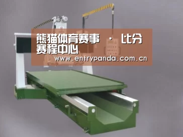 产品名称十