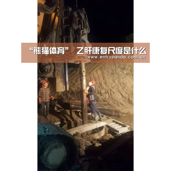 熊猫体育平台