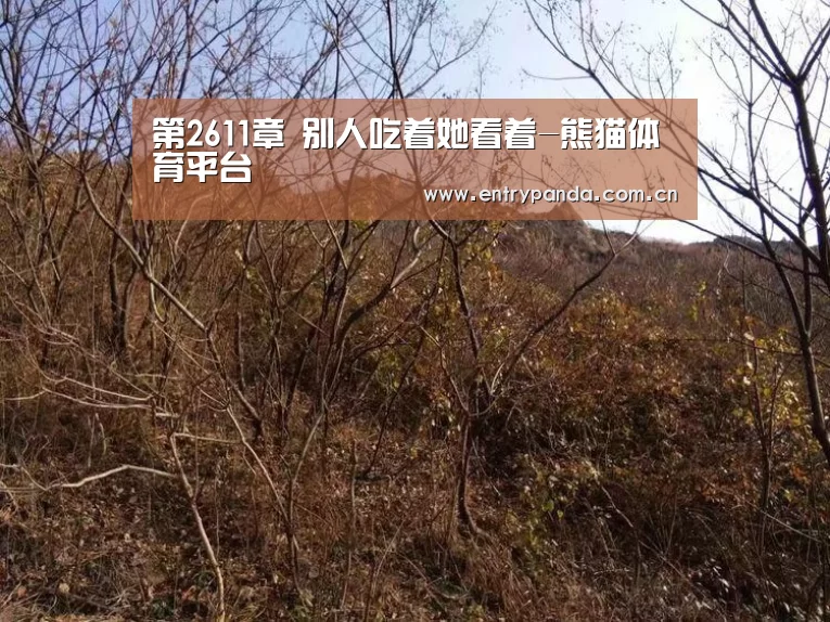熊猫体育