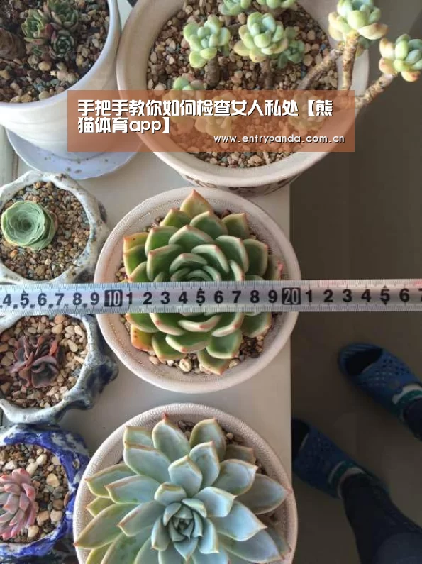 熊猫体育