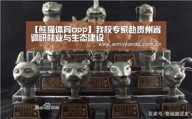 【熊猫体育app】我校专家赴贵州省调研林业与生态建设(图1) 熊猫体育app