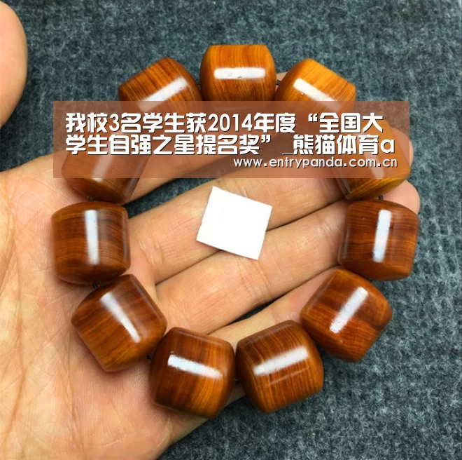 我校3名学生获2014年度“全国大学生自强之星提名奖”_熊猫体育app(图2) 熊猫体育