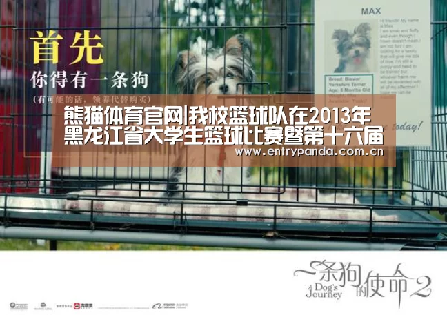 熊猫体育官网|我校篮球队在2013年黑龙江省大学生篮球比赛暨第十六届CUBA中国大学生篮球联赛黑龙江省预赛中再创佳绩(图2) 熊猫体育