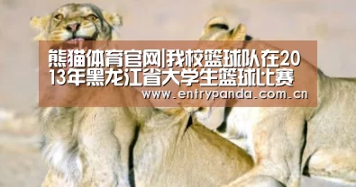 熊猫体育官网|我校篮球队在2013年黑龙江省大学生篮球比赛暨第十六届CUBA中国大学生篮球联赛黑龙江省预赛中再创佳绩(图1) 熊猫体育官网