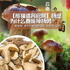 熊猫体育官网