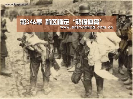 熊猫体育官网