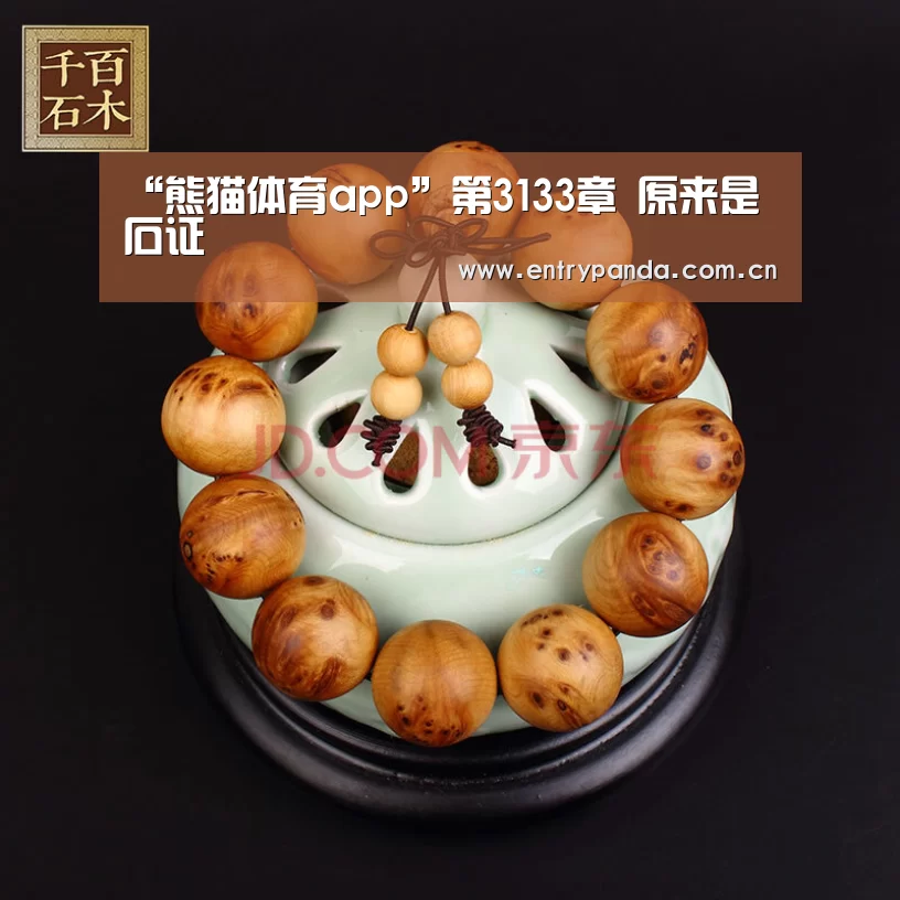 “熊猫体育app”第3133章 原来是石证(图1) 熊猫体育平台