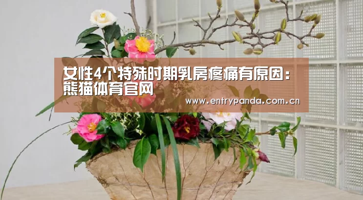熊猫体育app