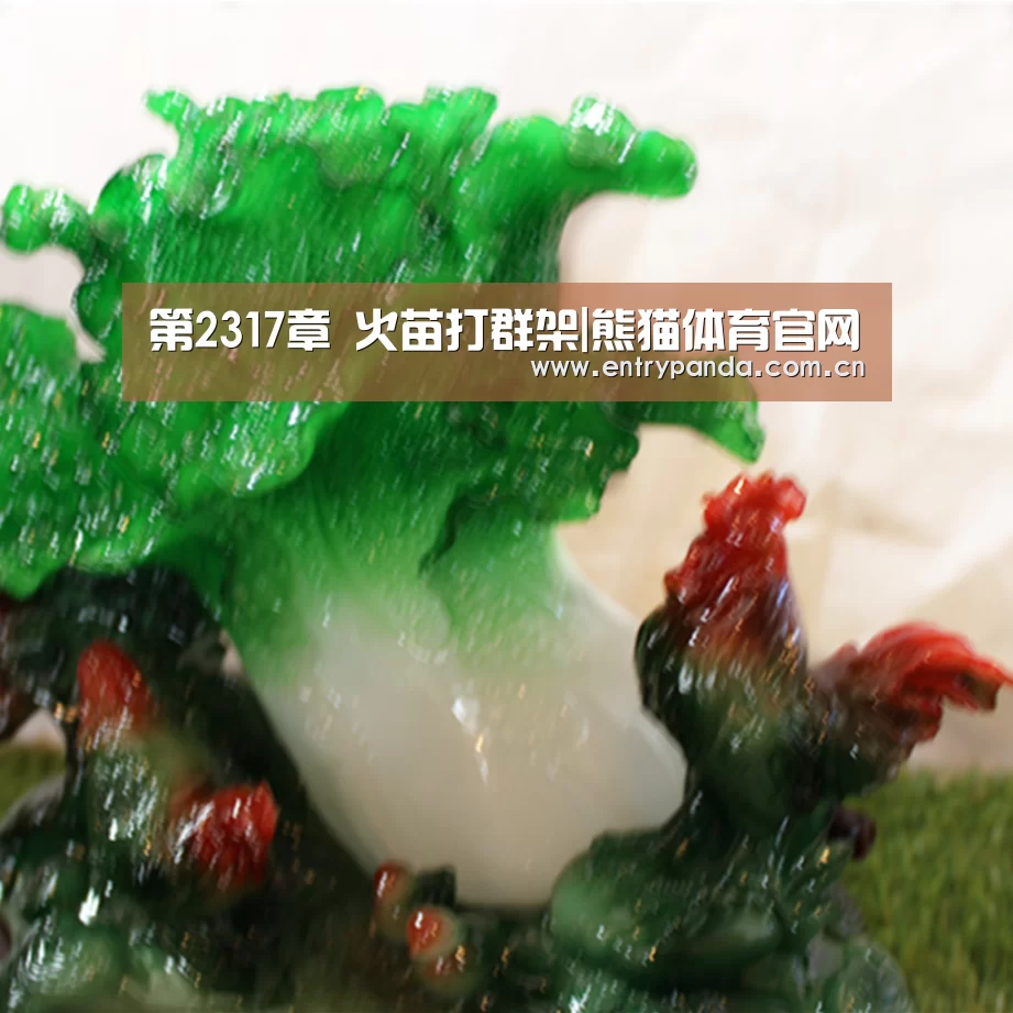 熊猫体育官网