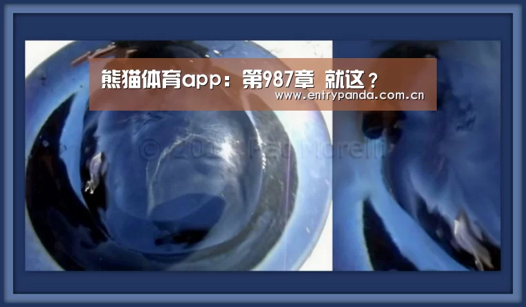 熊猫体育