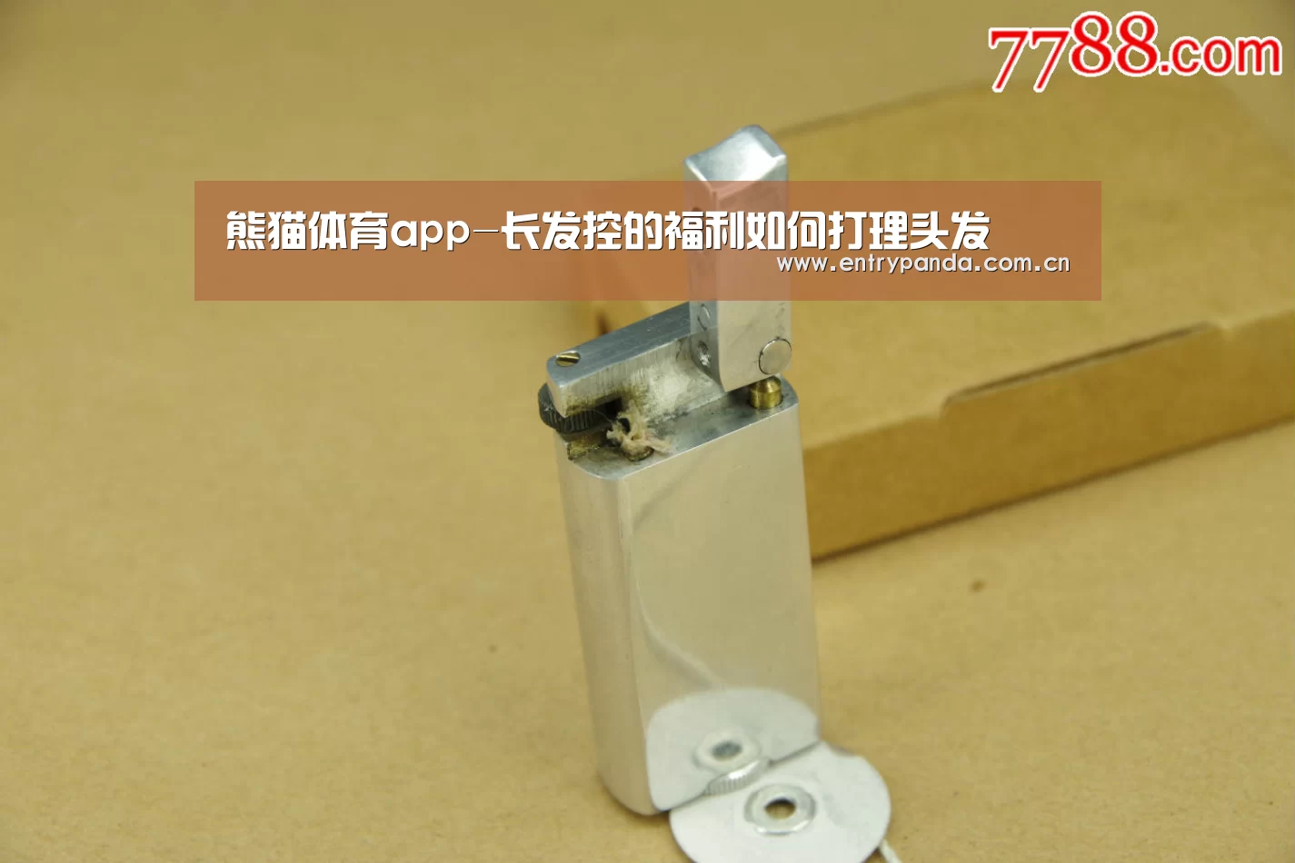 熊猫体育官网