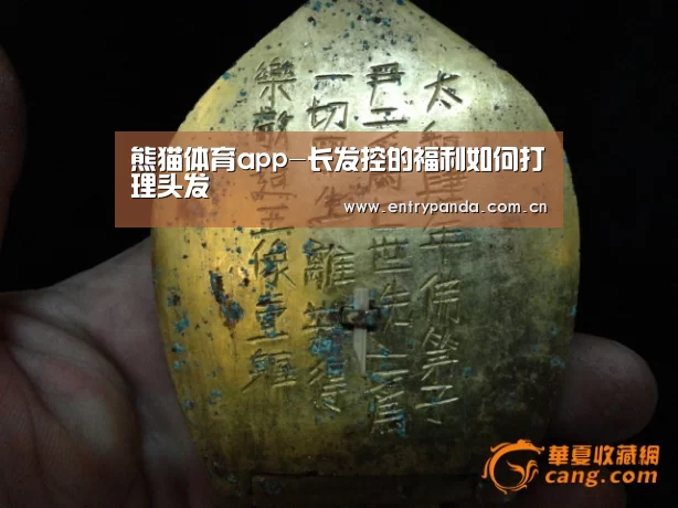 熊猫体育官网